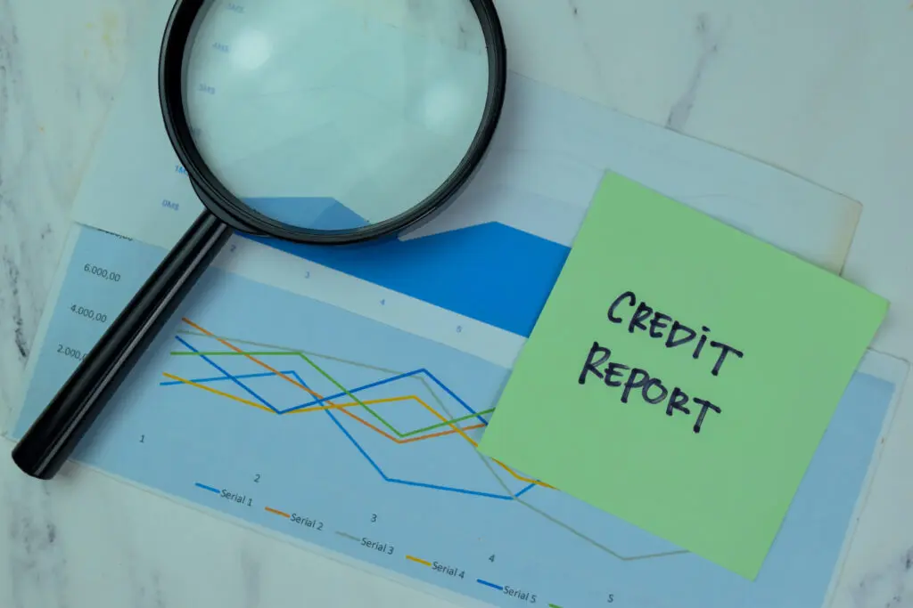 Credit Report